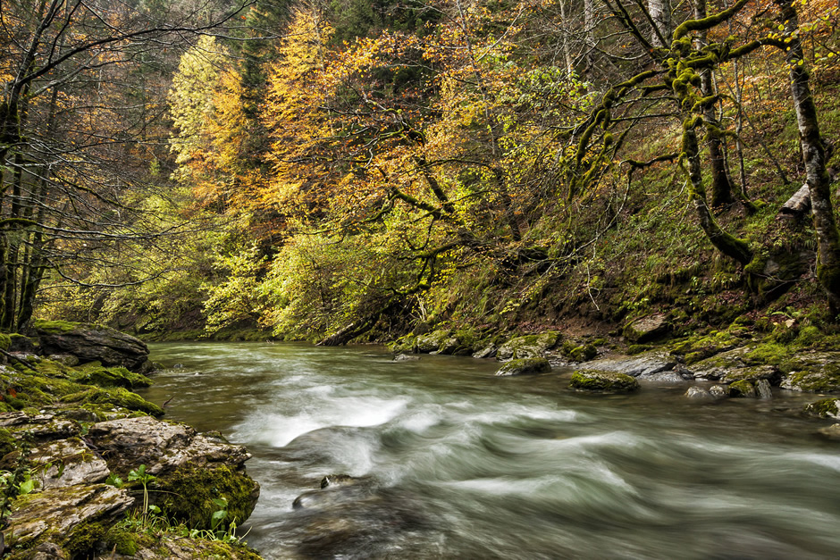 Fluss zum Fliegenfischen