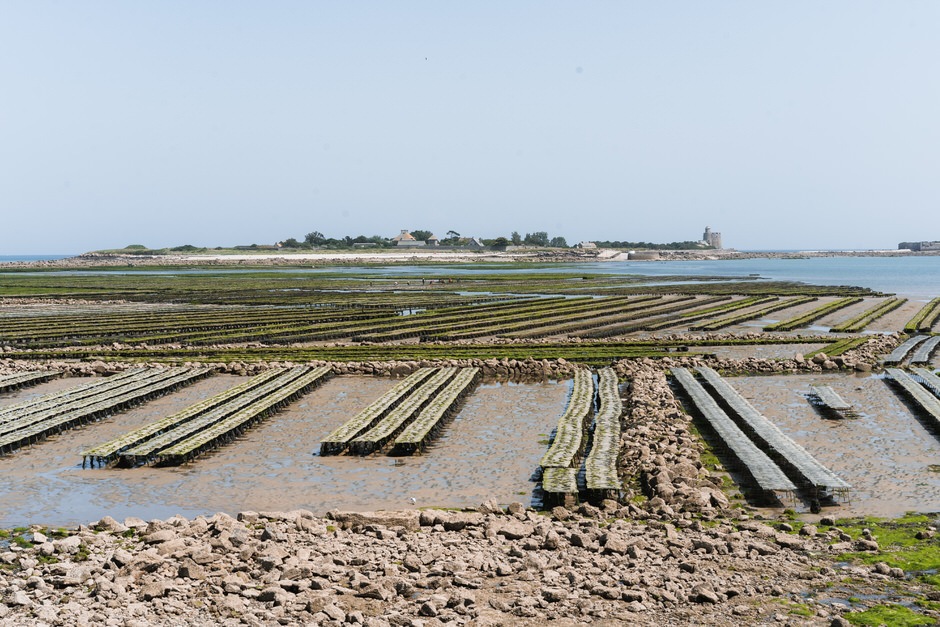 Wochenende in der Normandie: einen Van mieten