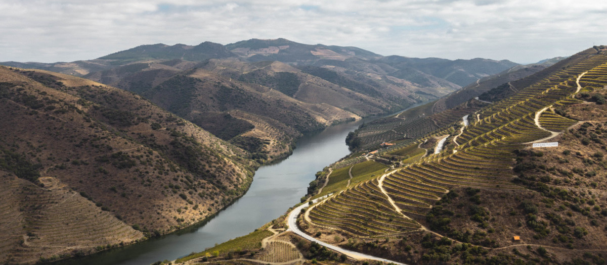 En immersion à Vila Nova de Foz Côa