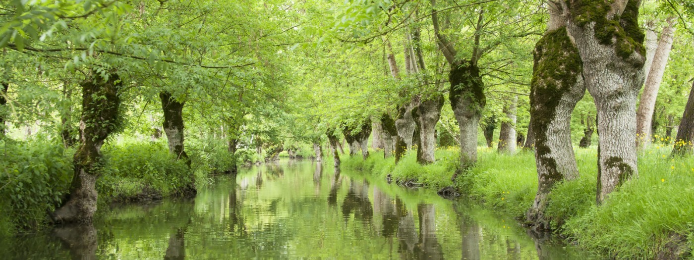 Road trip en van en Vendée