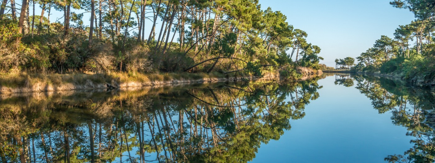 Rund um das Bassin d'Arcachon in einem Kastenwagen