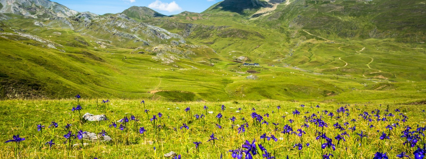 In the Spanish Pyrénées by campervan