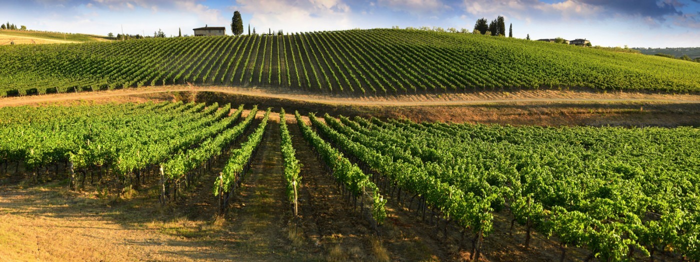 La Toscane in einem Kastenwagen