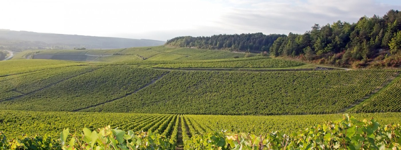 Road trip en van aménagé Bourguignon