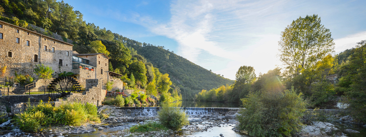 cevennes