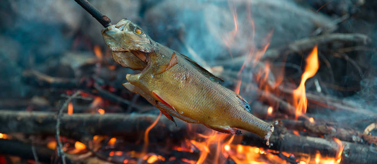 Recette en Campervan : perches & harengs à la finlandaise