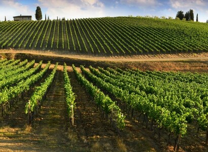 La Toscane in einem Kastenwagen