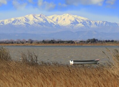 Pyrenees-Orientales in a campervan