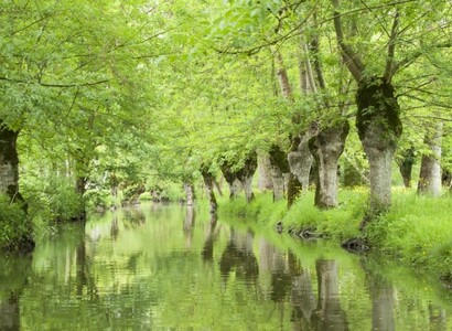 Road trip en van en Vendée