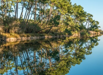 Around the Bassin d'Arcachon in a campervan