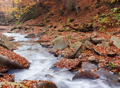 Week-end en van aménagé dans le Perche