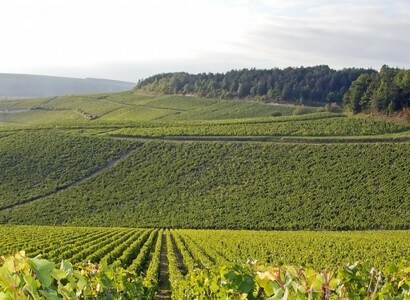 Road trip en van aménagé Bourguignon