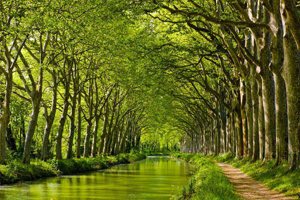 Location van aménagé dans l'Aude, chef-lieu de Carcassonne