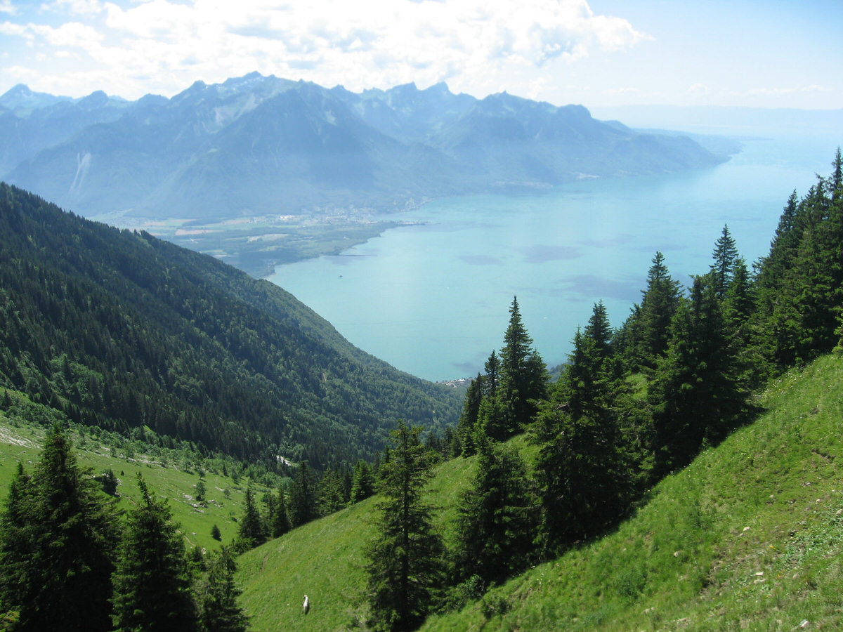 Location van aménagé : conquête des Alpes du Nord