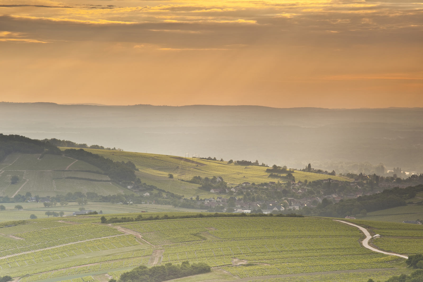 Campervan hire for a charming trip to Sologne & Sancerrois