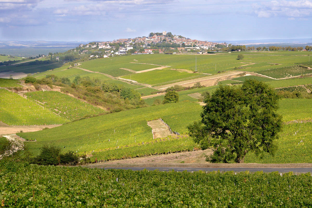 Sologne & Sancerrois by campervan hire: nature and vineyard adventures