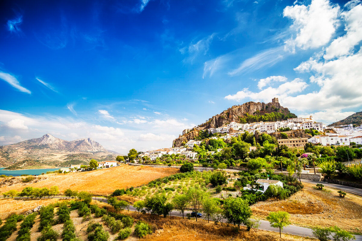Andalusien: Campervan -Miete durch Hügel, die mit Olivenbäumen bedeckt sind