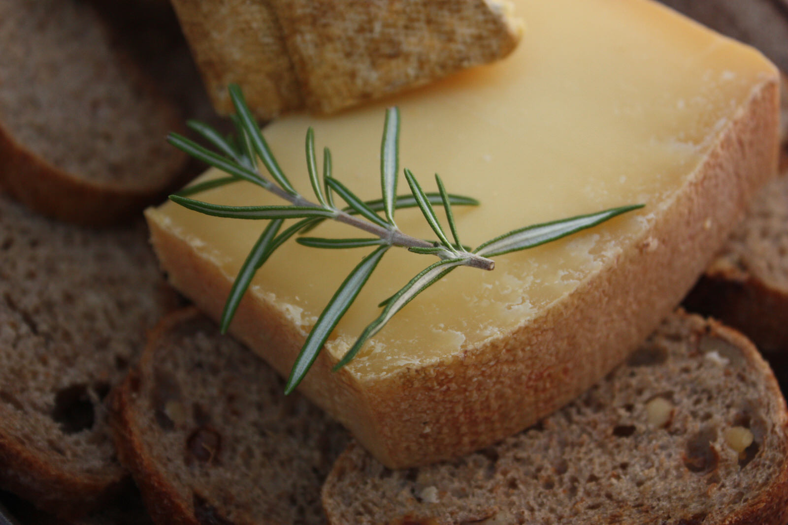 Location van aménagé : profiter des spécialités culinaires Auvergne