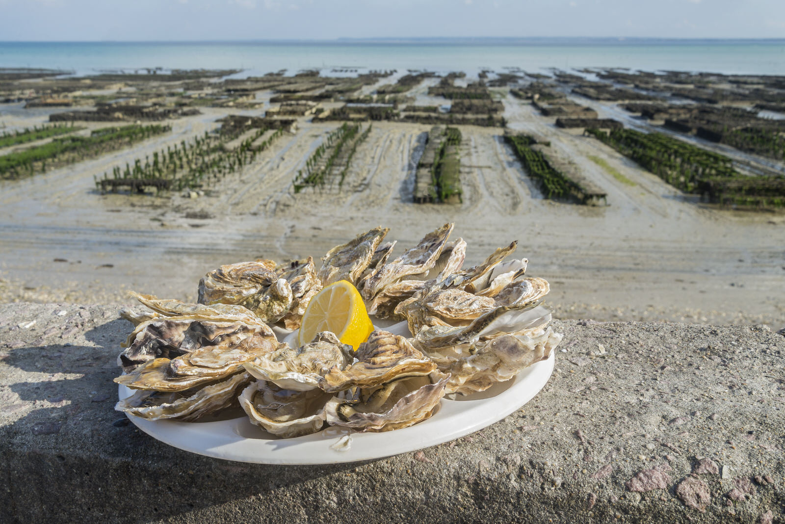 Location campervan : immersion gustative de spécialités normandes