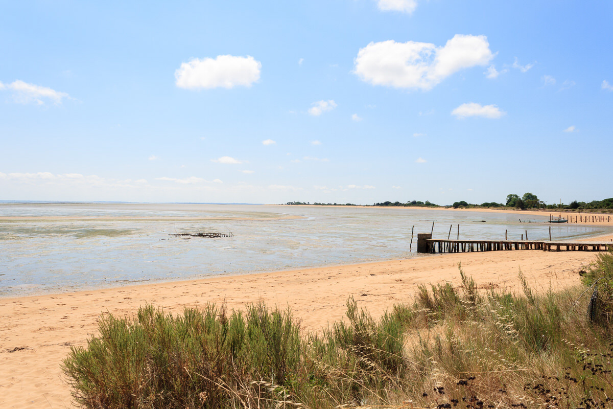 Location van aménagé : aventure sur la côte atlantique