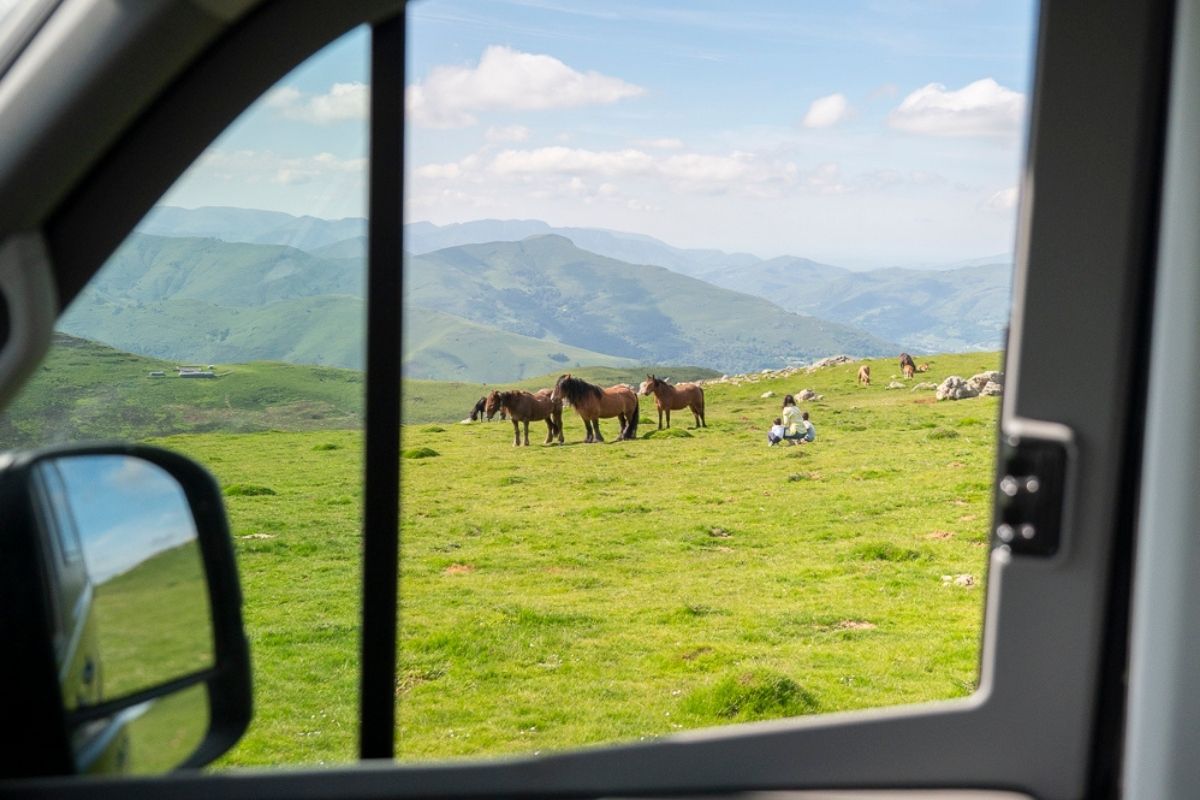 Location de minibus en Occitanie