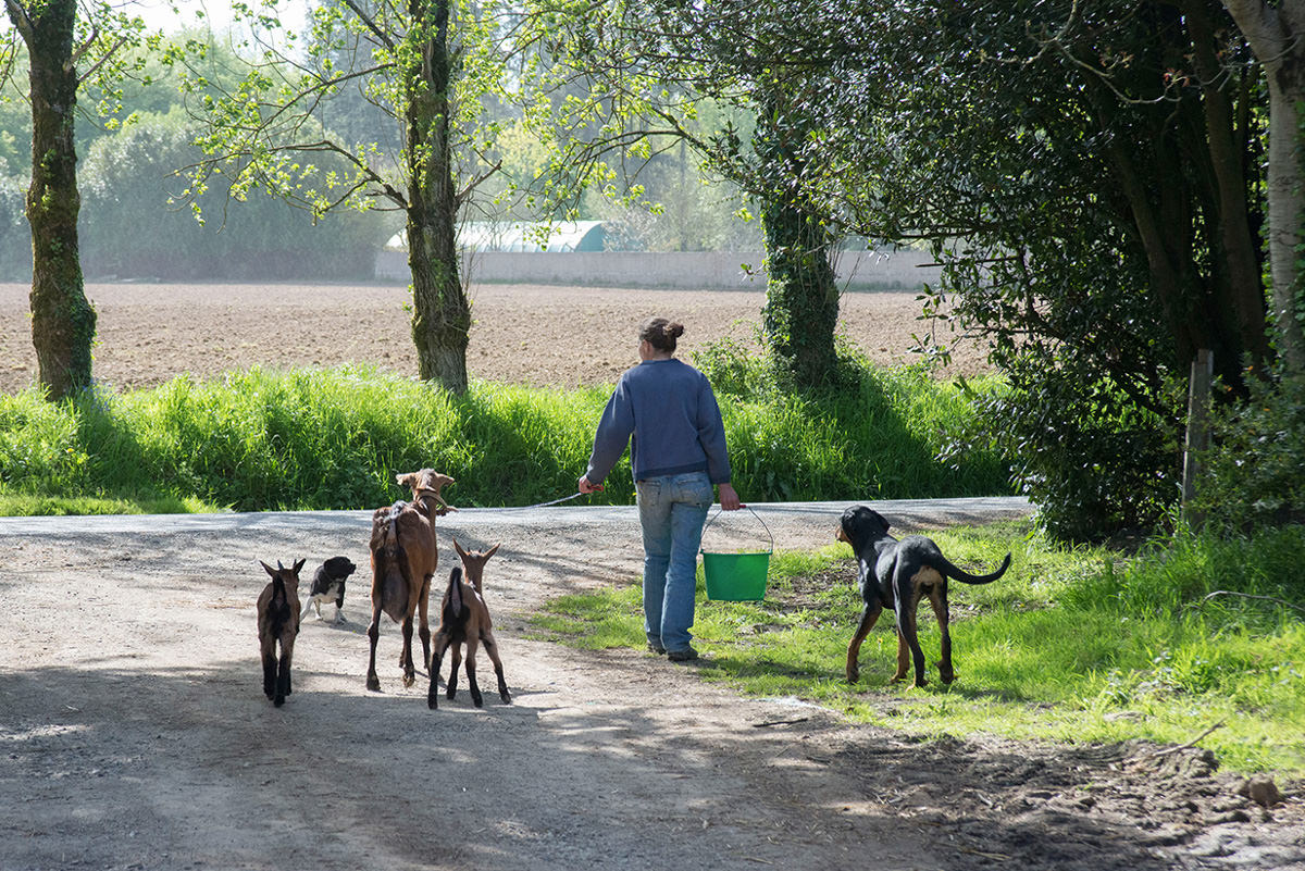 La ferme de Poulfang_4