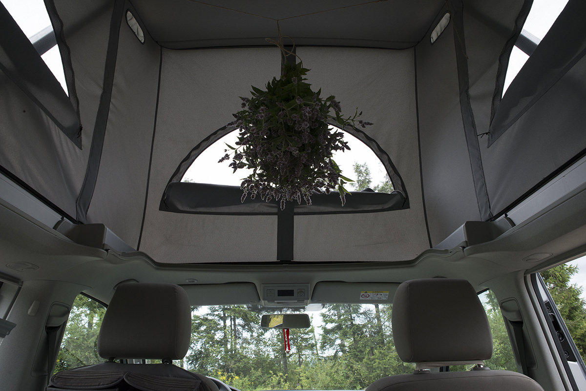 Menthe poivrée suspendue dans van aménagé avec toit relevable