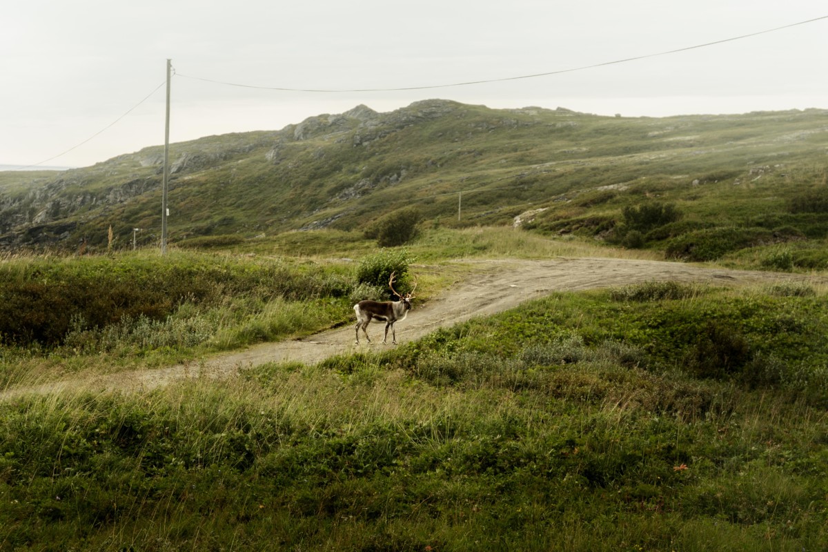 Campervan adventure: integration of the Sami people in modern Norway