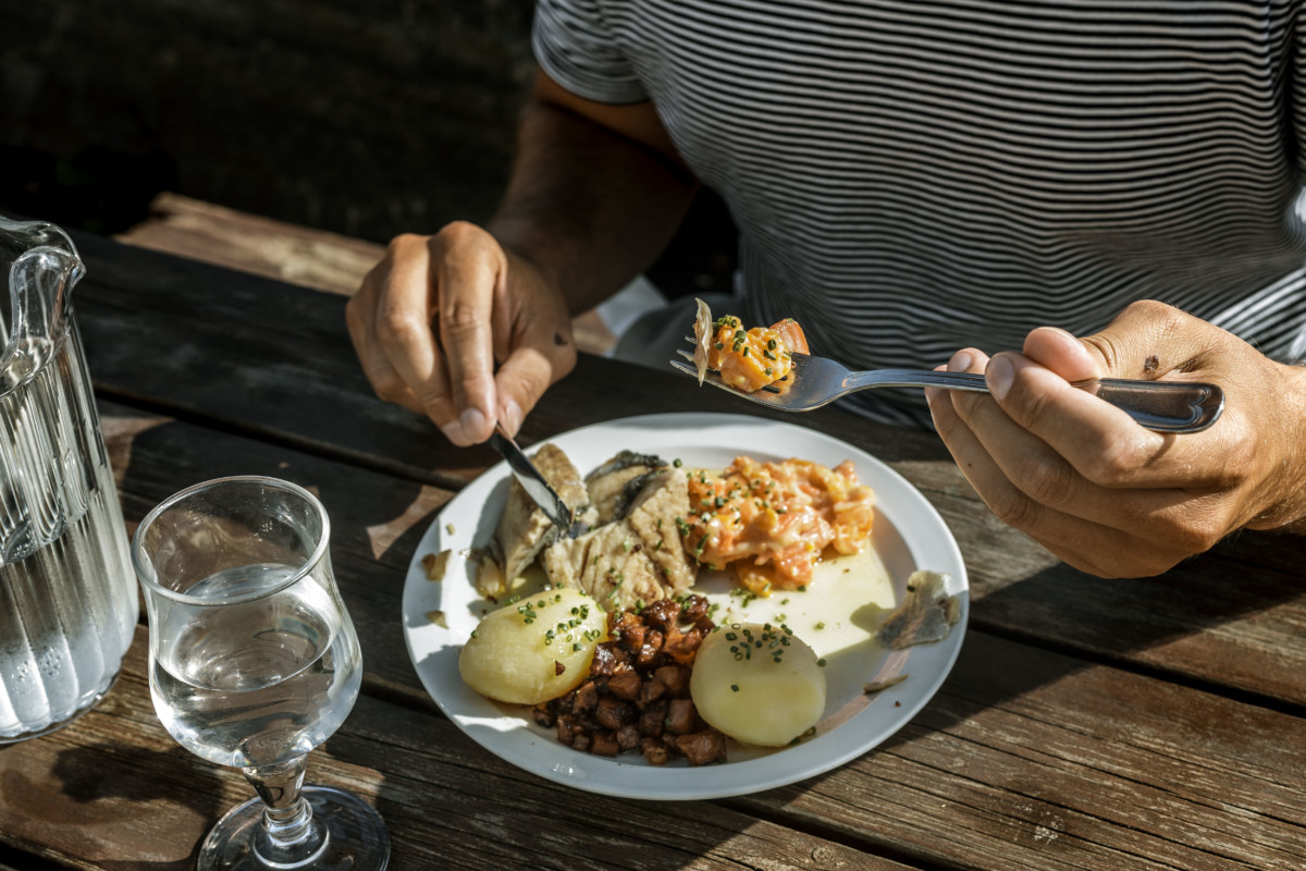 Vermietung ausgestatteter Van: Verkostung von Gammelsalt Sei