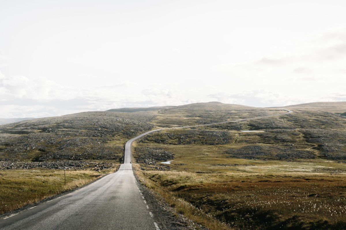 Location van aménagé : traverser des forêts scandinaves