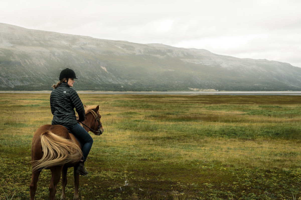 Road trip in a campervan hire: horse riding in Porsangerfjord