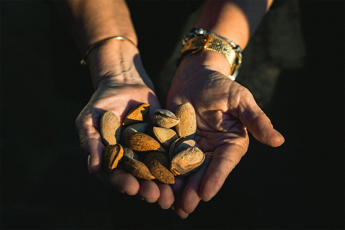 Amandes du portugal