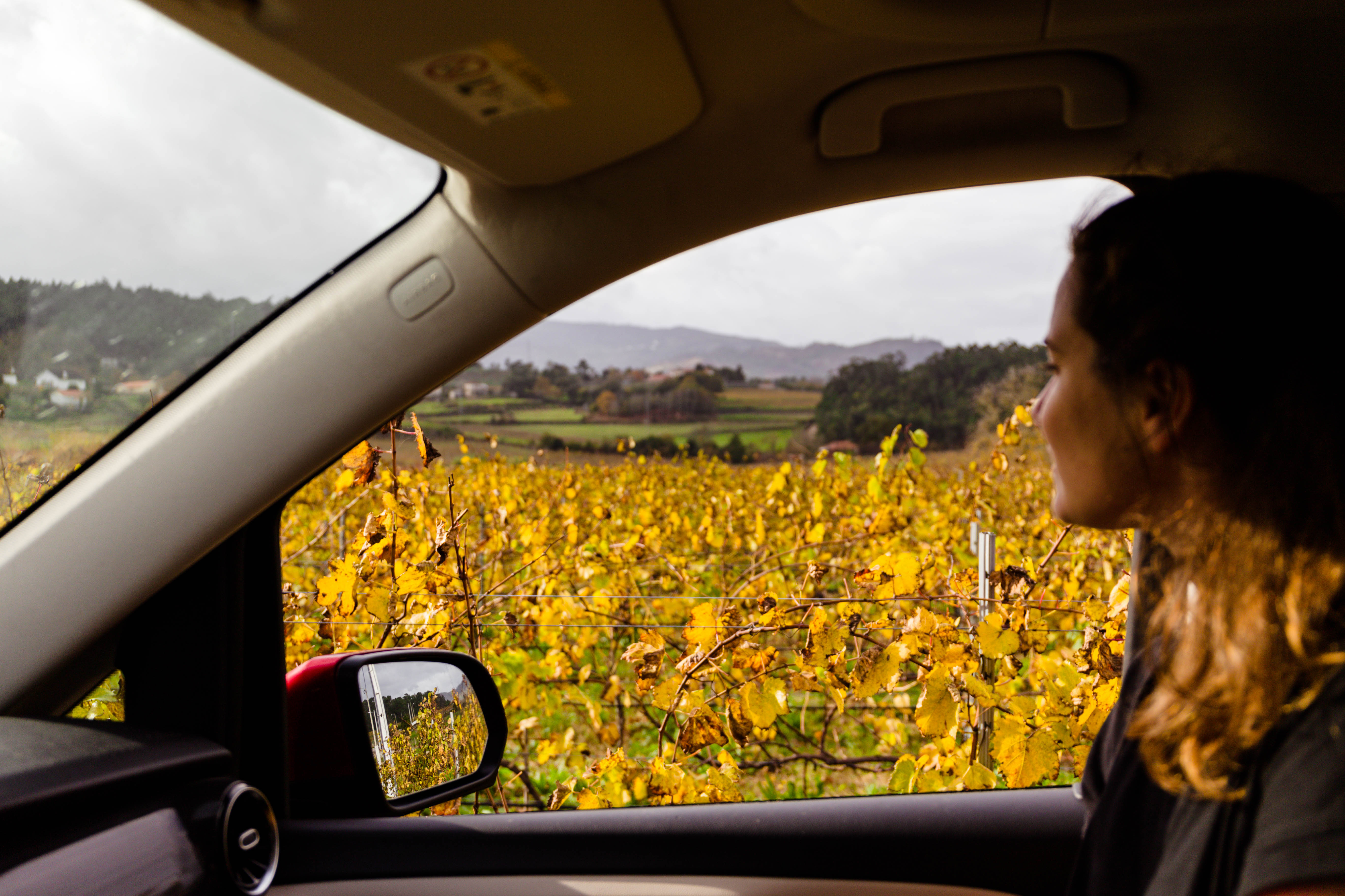 Location van aménagé : route du vin en automne