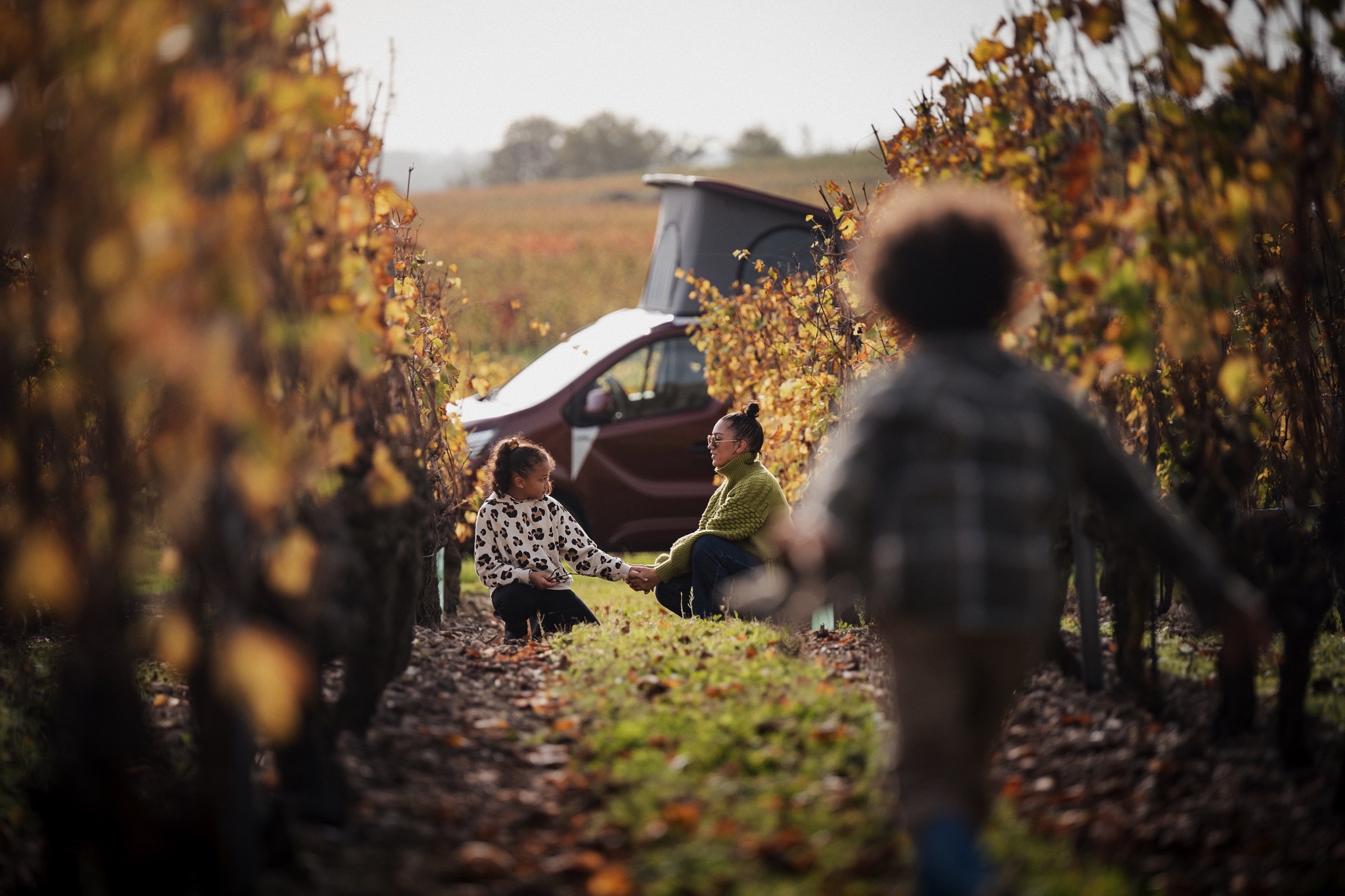 Route du Vin : road trip en van aménagé